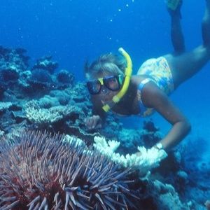 Meet your Posher, Robyn